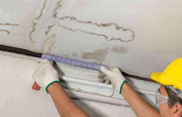 Reliable Mold Remediation contractor in Olathe, CO by Local Water Damage Repair